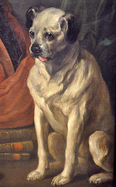William Hogarth Pug oil painting image